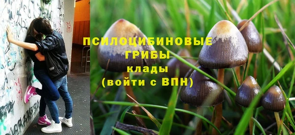 СК Арсеньев