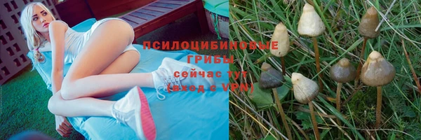 скорость Балахна